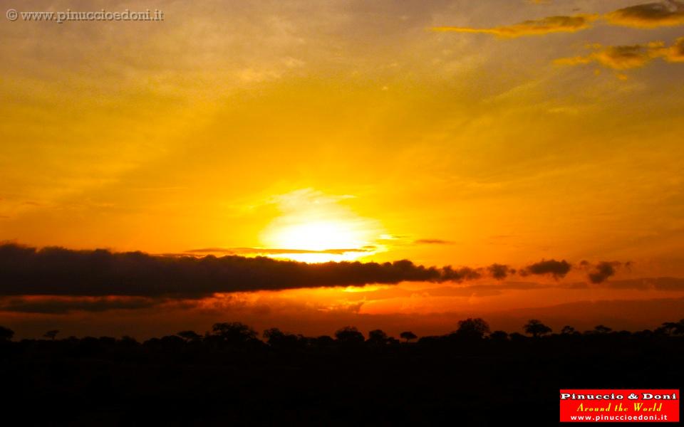 TANZANIA - Tarangire National Park - 47 Alba.jpg